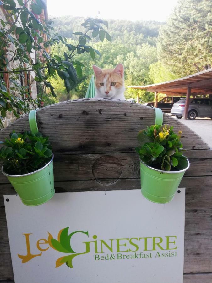 Le Ginestre Apartments Assisi Ngoại thất bức ảnh